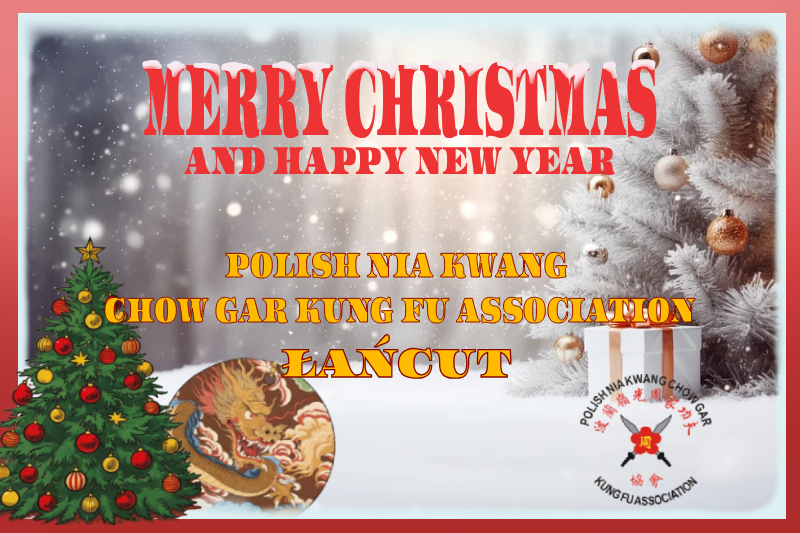 Przerwa świąteczno-noworoczna !